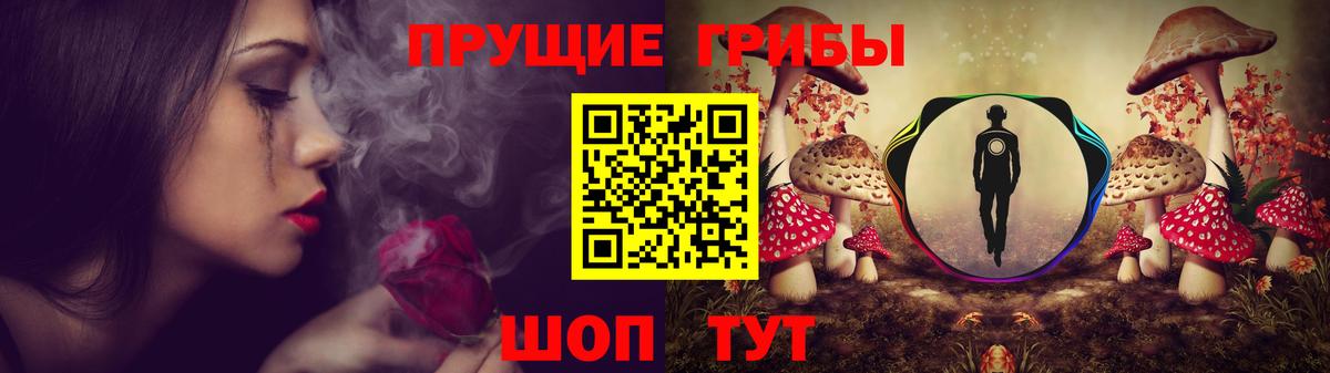 Галлюциногенные грибы мухоморы  Вход с VPN  наркошоп  Ачхой-Мартан 
